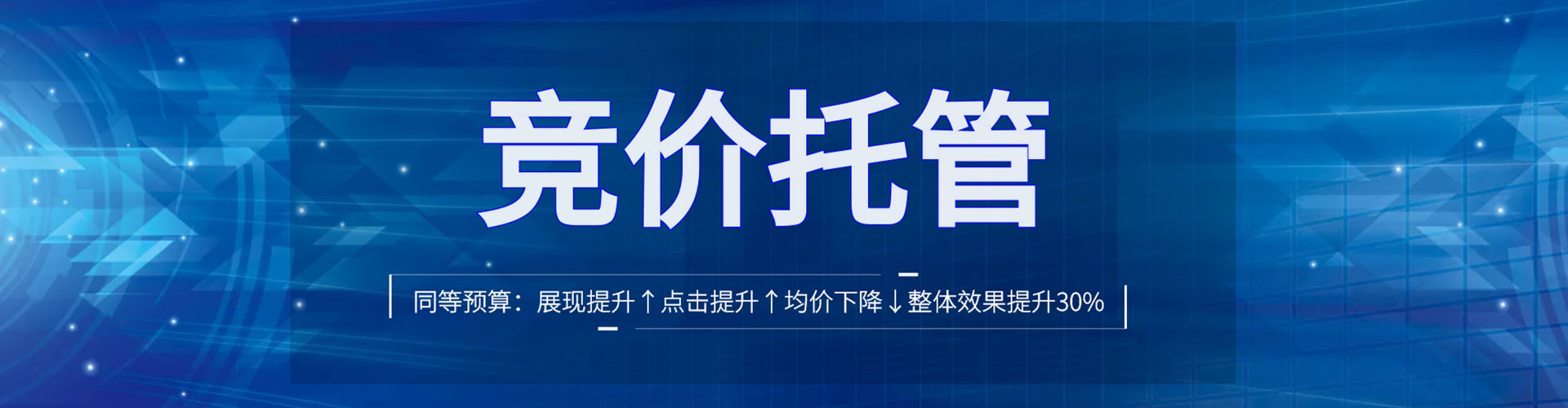 洛隆百度包年竞价